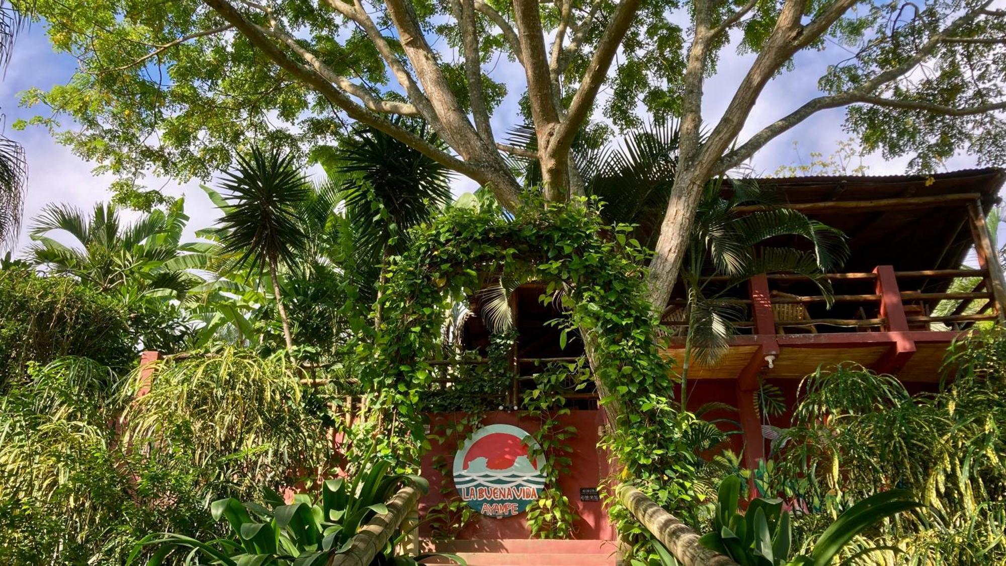La Buena Vida Hotel Ayampe Exterior foto